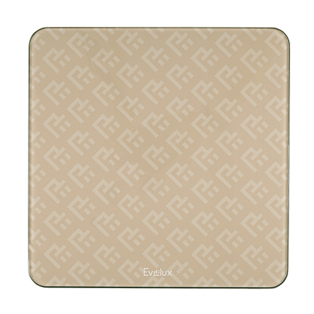 Весы напольные EBS 1001