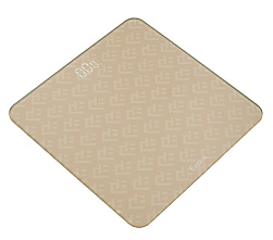 Весы напольные EBS 1001